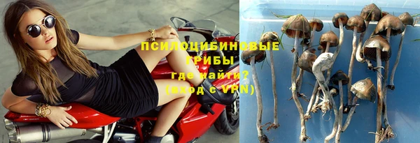 mdpv Алексин