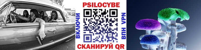 маркетплейс наркотические препараты  Боготол  Псилоцибиновые грибы Cubensis 